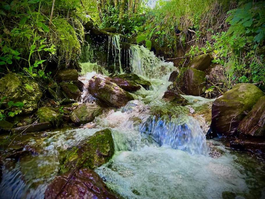 Bergerie De Lasariberes Gazost  Esterno foto